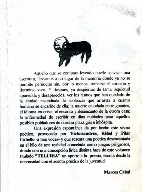 Libro de Poesía "Teluria" - Victoria Andrea Muñoz Serra (Victoriandrea)